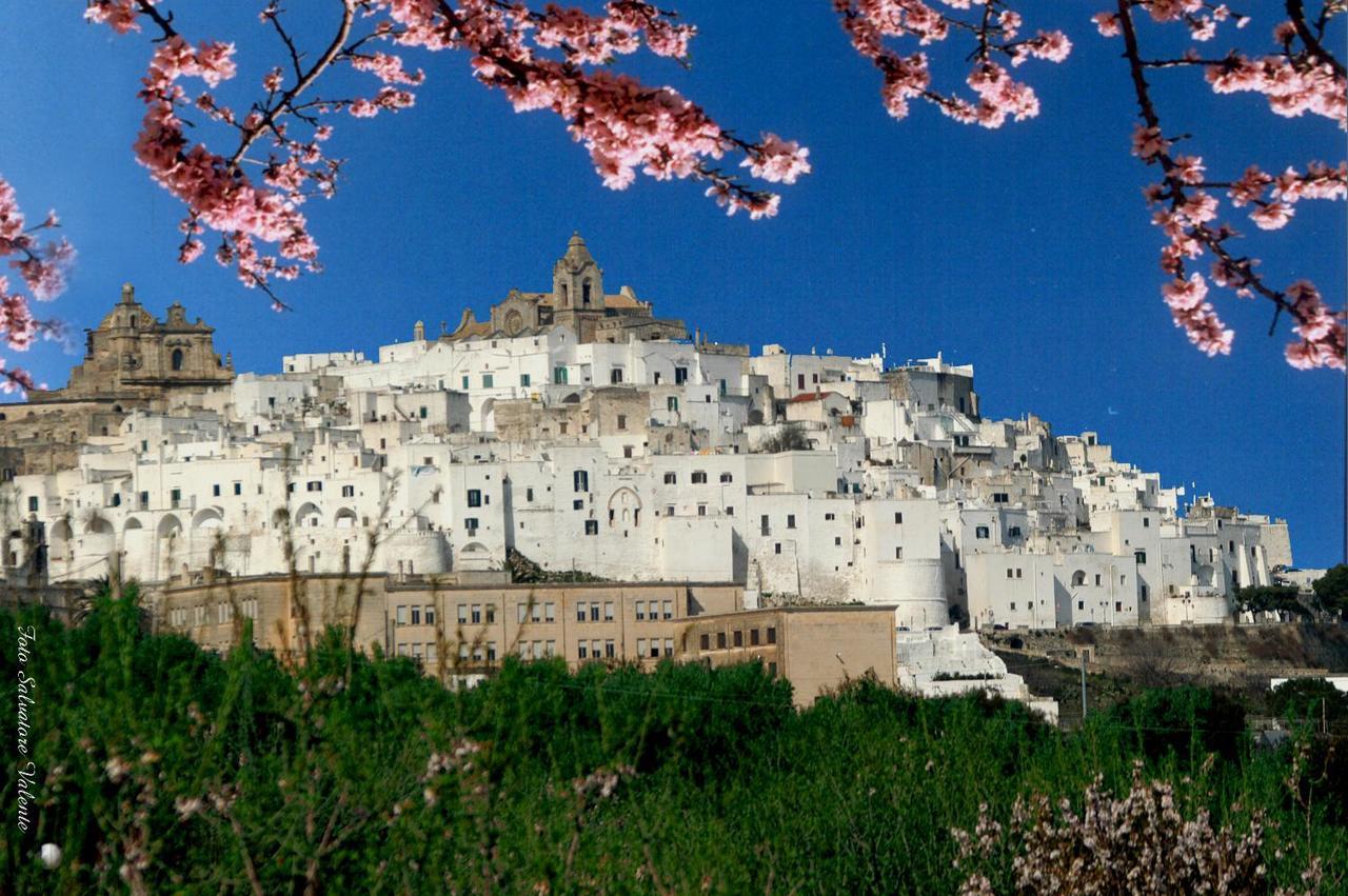 Casa Carlotta Βίλα Ostuni Εξωτερικό φωτογραφία